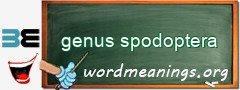 WordMeaning blackboard for genus spodoptera